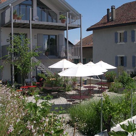 Le Coq Chantant Studios D'Hotes & Boutique Hotel St-Livres Saint-Livres Bagian luar foto