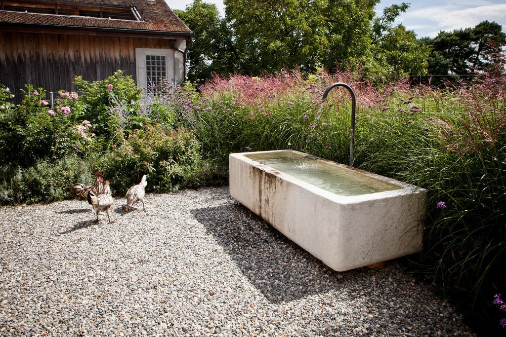 Le Coq Chantant Studios D'Hotes & Boutique Hotel St-Livres Saint-Livres Bagian luar foto
