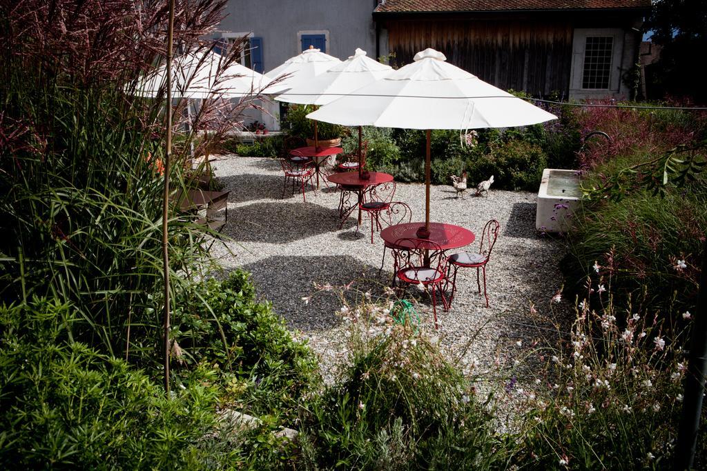 Le Coq Chantant Studios D'Hotes & Boutique Hotel St-Livres Saint-Livres Bagian luar foto