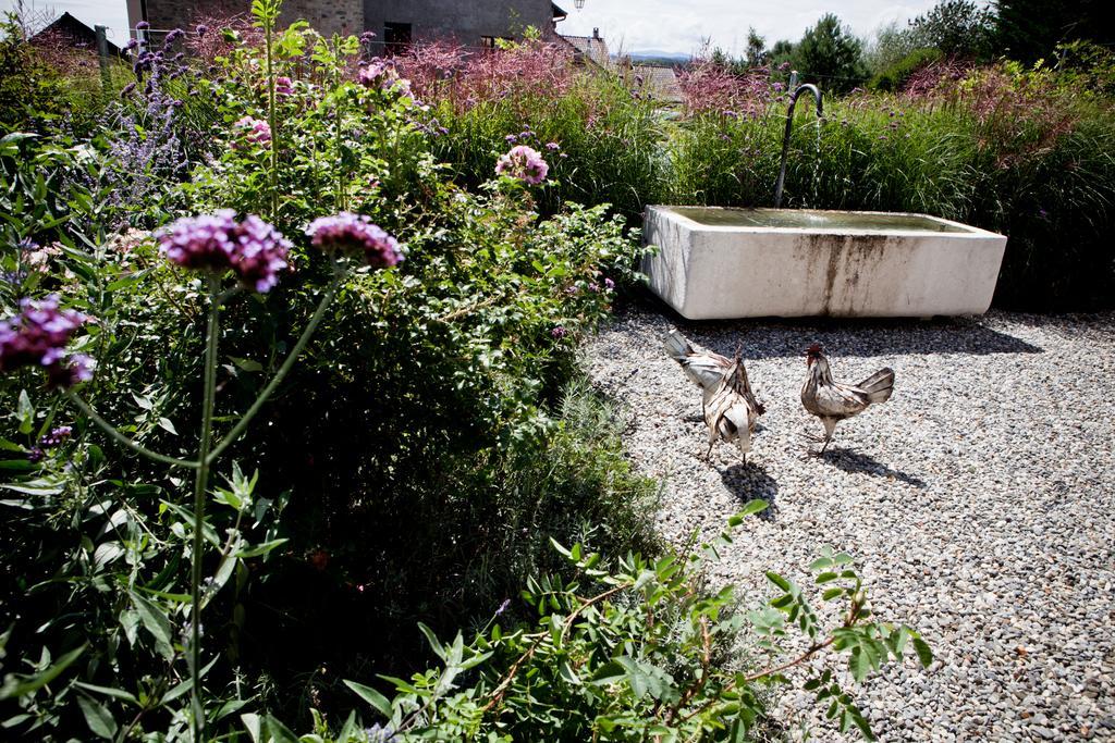 Le Coq Chantant Studios D'Hotes & Boutique Hotel St-Livres Saint-Livres Bagian luar foto