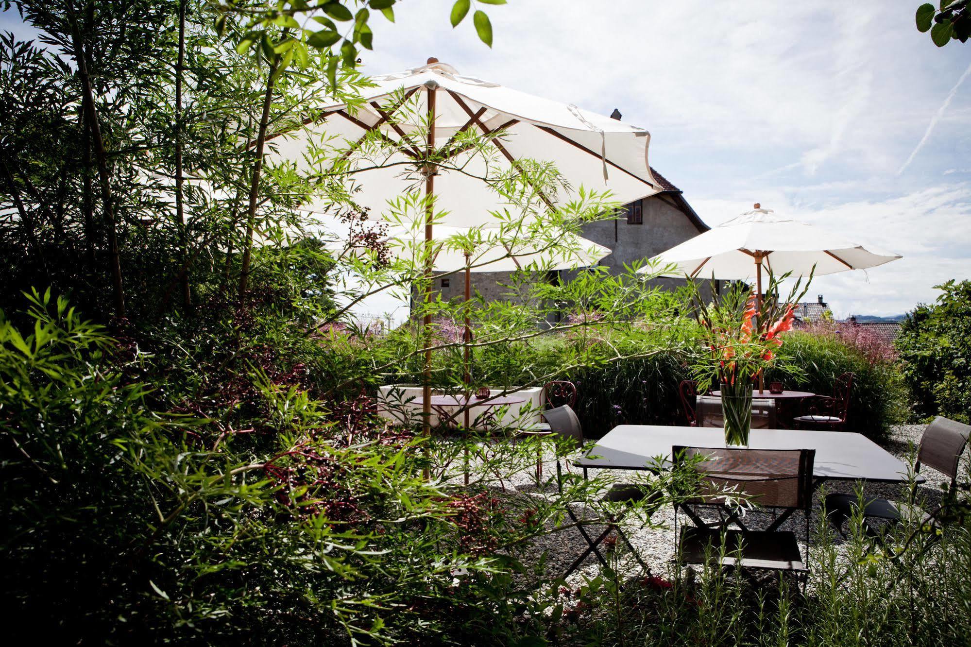 Le Coq Chantant Studios D'Hotes & Boutique Hotel St-Livres Saint-Livres Bagian luar foto